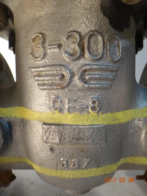 Takawasima 3", Class 300, CF8, Gate Valve