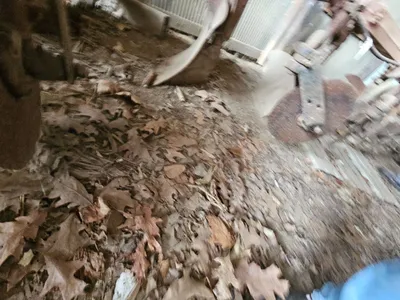 INTERNATIONAL 550 plow | Iron Listing (13)