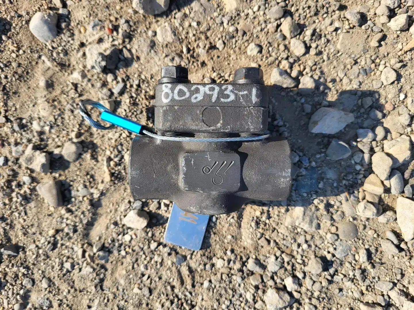 3/4" Class 800 Check Valve B16.34