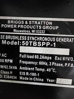 USED 2018 BRIGGS & STRATTON 50TBSPP-1