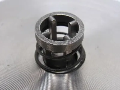 Check-All CAV-5942-A20 Flange Insert Check Valve 3" SS