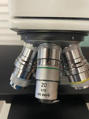 LEITZ ERGOLUX 020-448.026 MICROSCOPE (THORLABS TABLE SOLD SEPARATE)
