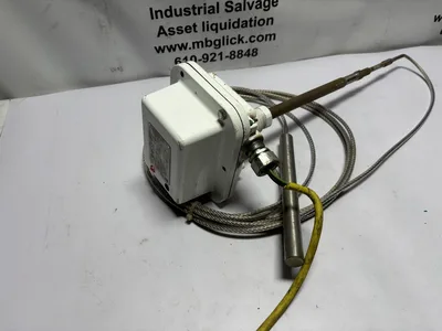 Bindicator RF82L5G1N-T RF Series Level Cable Probe Radio Frequency