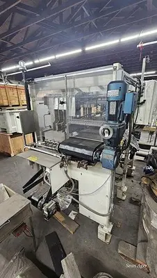 Hartness Lowering Head Case Packer