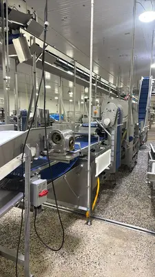 USED MAREL SENSORYX