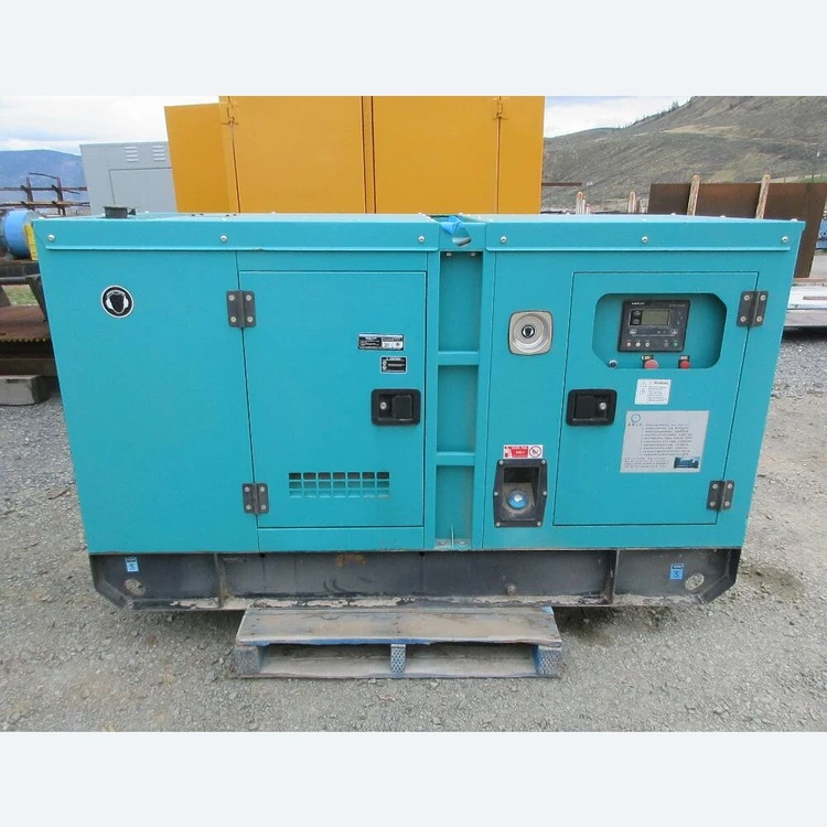 Used LAUYOO GENERATORS TFW2-30 Diesel Generators British Columbia CA | Savona Equipment LTD #1170316