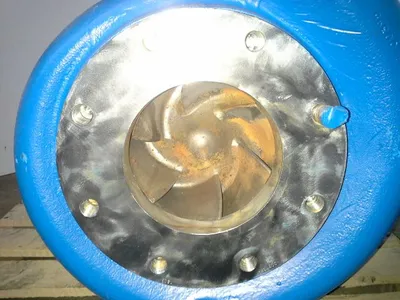 USED Goulds 3196 MTX