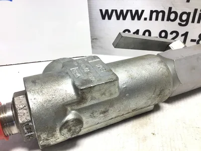 Crosby 951101MFD 3/4x1in Steel Relief Valve