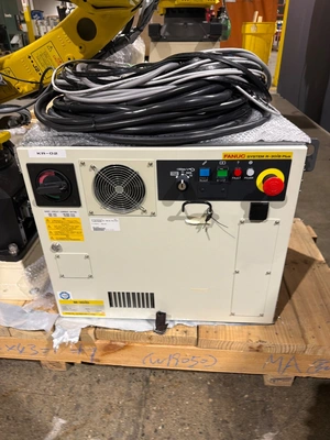 USED 2019 FANUC M-10iD/10L + R-30iB Plus