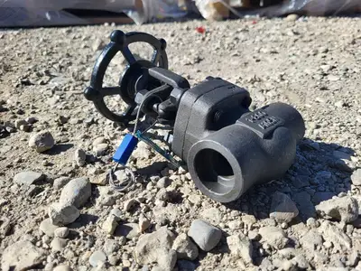 1" Class 800 Gate Valve API 602
