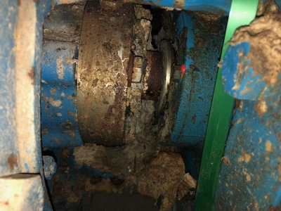 USED Goulds 3175