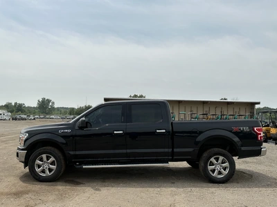 Used 2019 FORD F150 Pickup Trucks Michigan US | Miedema Asset Management Group #1316080