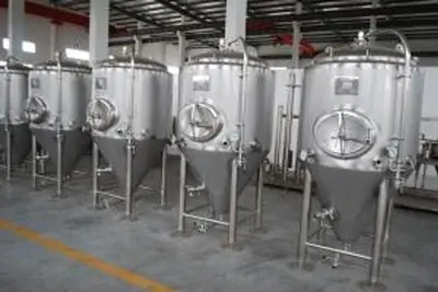 NEW STOCK BSV 7 BBL FERMENTER