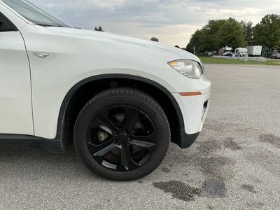 Used 2010 BMW X6 Tracked Mud Buggy Michigan US | Miedema Asset Management Group #1474468