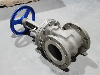 Used DSI VALVES API 603 Valves/Fittings British Columbia CA | Lenmark #914829