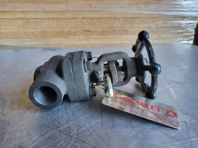 3/4" Class 800 Gate Valve B16.34