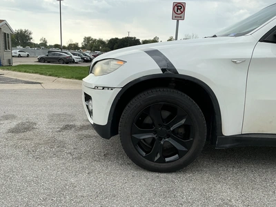Used 2010 BMW X6 Tracked Mud Buggy Michigan US | Miedema Asset Management Group #1474468