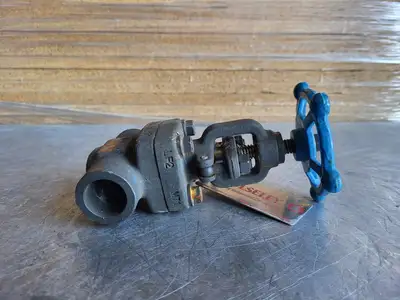 3/4" Class 800 Globe Valve B16.34