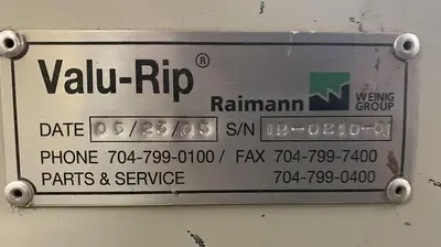 RAIMANN VALUE RIP IV, GANG RIPSAW INFEED SYSTEM