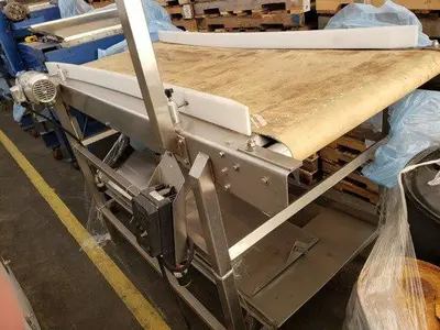 7' Berry Inspection Conveyor