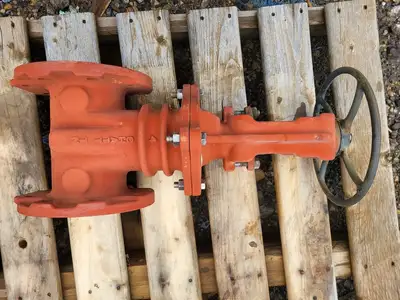 4" Gate Valve R2365, 250 PSI