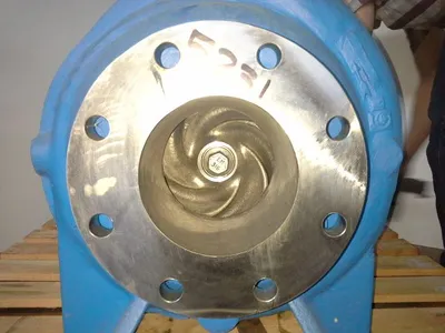 USED Goulds 3175