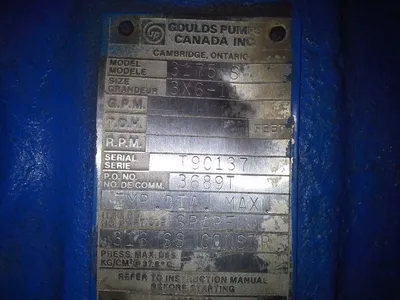 USED Goulds 3175