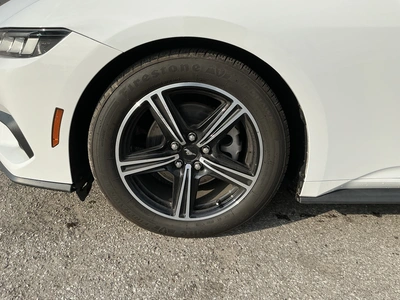 Used 2024 FORD MUSTANG Cars Michigan US | Miedema Asset Management Group #1579884