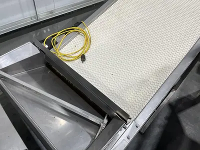 Scalloped Belt Incline Conveyor with Hopper