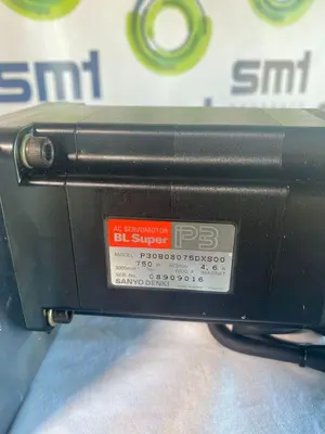 NEW SANYO DENKI P30B08075DXS00