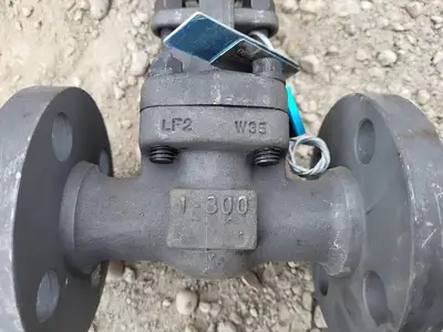 1" Class 300 Gate Valve API 602