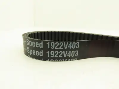Gates 1922V403 Timing Belt Multi-Speed 31mm W 100-Tooth 76"