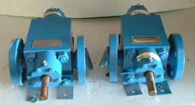 Used NORTHERN GACMDRBO248 Rotary Pumps Texas US | Bamko Surplus Process Equipment #934226