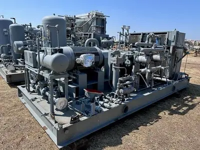 USED 2010 GEMINI H304