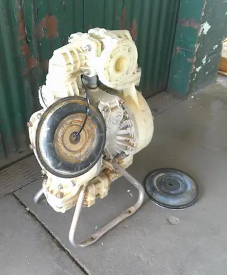 SPC9106  Pump 2" Flanged Dayton diaphragm pump, poly