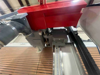 Used 2024 STRIEBIG STANDARD S (TRK1-5168) Woodworking Panel Saws Ohio US | MachineryMax #1334474