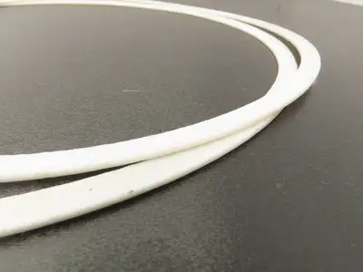 Cascades 10" Pump Casing Gasket 11" OD x 10-1/8" ID Lot of 2