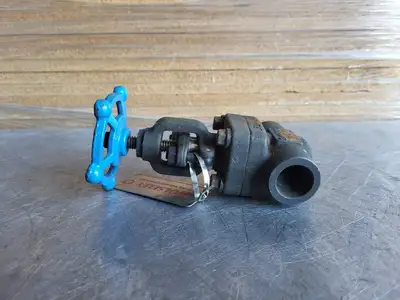 3/4" Class 800 Globe Valve B16.34