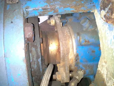 USED Goulds 3175