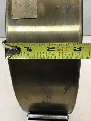 USED WATLOW 695501E