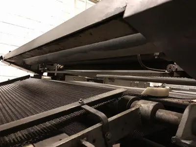 Werner Lehara 1- Meter Double Oven Line for Biscotti/Macaroons