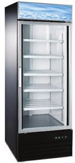 Glass door freezer display
