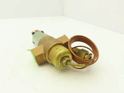 Nichiden Kogyo E60AA205AA Water Temperature Regulating Valve Remote Probe 3/4NPT