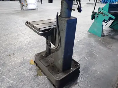 USED BUFFALO 22