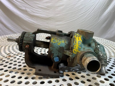 Viking H4724 1.5x1.5 SS Positive Displacement Pump