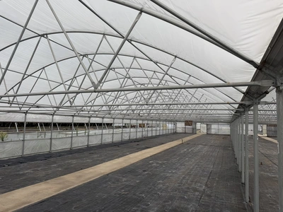 Used _UNKNOWN_ _UNKNOWN_ Greenhouse Equipment Michigan US | Miedema Asset Management Group #1396137
