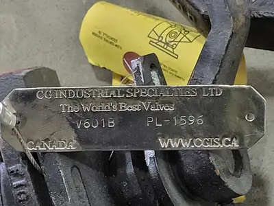Size 1", Rating 300, Globe Valve PL-1596