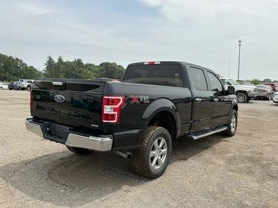 Used 2019 FORD F150 Pickup Trucks Michigan US | Miedema Asset Management Group #1316080
