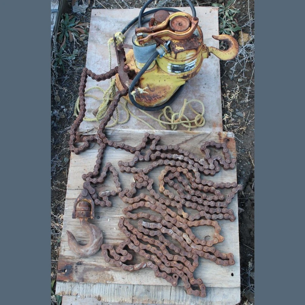 Budgit 1000 lb Roller Chain Hoist