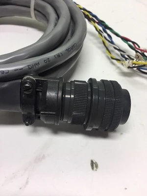 NEW Carol C6053A
